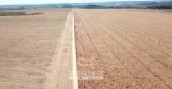 Fazenda Excepcional à Venda 39.000 Hectares Dupla Aptidão | Próximo a Confresa/ MT