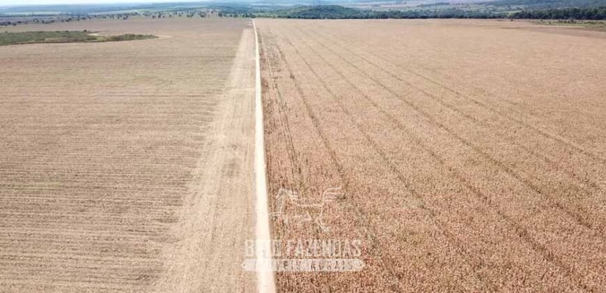 Fazenda Excepcional à Venda 39.000 Hectares Dupla Aptidão | Próximo a Confresa/ MT
