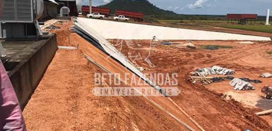 Fazenda Excepcional à Venda 39.000 Hectares Dupla Aptidão | Próximo a Confresa/ MT