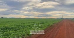 Fazenda Excepcional à Venda 39.000 Hectares Dupla Aptidão | Próximo a Confresa/ MT