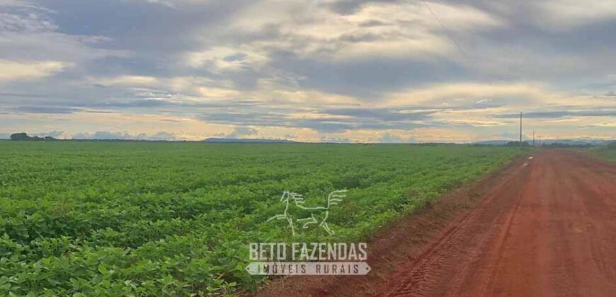 Fazenda Excepcional à Venda 39.000 Hectares Dupla Aptidão | Próximo a Confresa/ MT