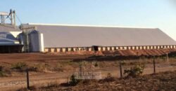 Fazenda Excepcional à Venda 39.000 Hectares Dupla Aptidão | Próximo a Confresa/ MT