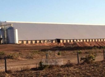 Fazenda Excepcional à Venda 39.000 Hectares Dupla Aptidão | Próximo a Confresa/ MT