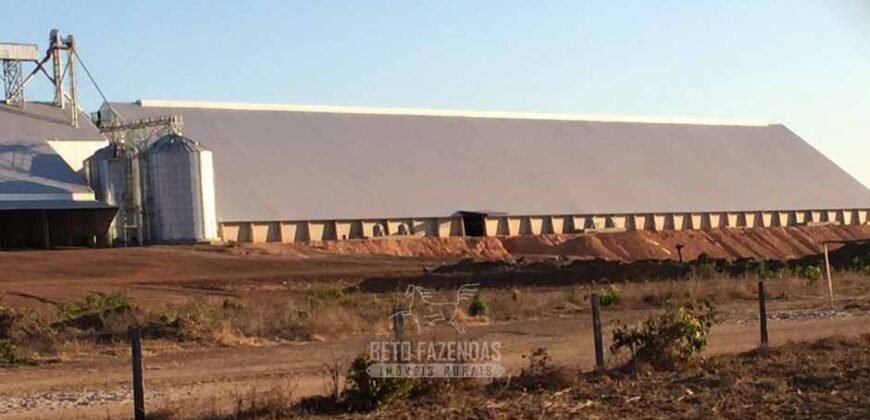 Fazenda Excepcional à Venda 39.000 Hectares Dupla Aptidão | Próximo a Confresa/ MT