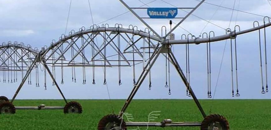 Fazenda Agropecuária à Venda 29.200 hectares Pista de Pouso | Aruanã/ Goiás