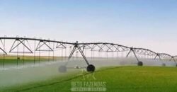 Fazenda Agropecuária à Venda 29.200 hectares Pista de Pouso | Aruanã/ Goiás