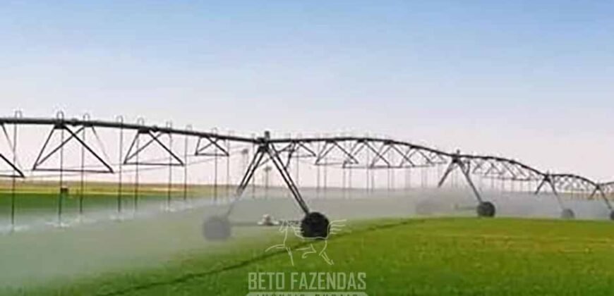 Fazenda Agropecuária à Venda 29.200 hectares Pista de Pouso | Aruanã/ Goiás