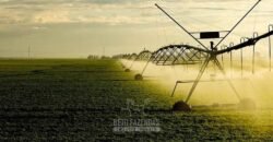 Fazenda Agropecuária à Venda 29.200 hectares Pista de Pouso | Aruanã/ Goiás