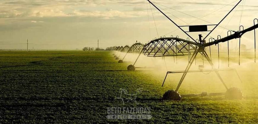 Fazenda Agropecuária à Venda 29.200 hectares Pista de Pouso | Aruanã/ Goiás