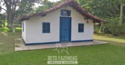 Fazenda à Venda 39 alqueires Paraíso Natural |Piraí, RJPotencial Turístico