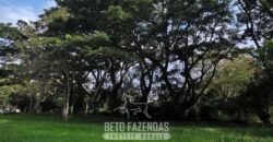 Fazenda à Venda 39 alqueires Paraíso Natural |Piraí, RJPotencial Turístico