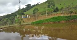 Fazenda à Venda 39 alqueires Paraíso Natural |Piraí, RJPotencial Turístico