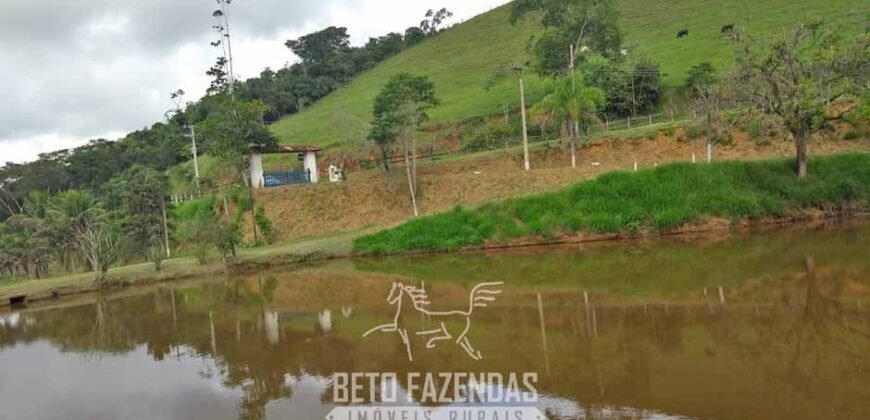 Fazenda à Venda 39 alqueires Paraíso Natural |Piraí, RJPotencial Turístico
