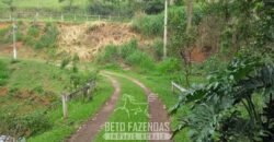Fazenda à Venda 39 alqueires Paraíso Natural |Piraí, RJPotencial Turístico