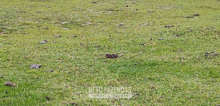 Fazenda à Venda 358 hectares Pecuária em Dores de Macabu | Campos dos Goytacazes/ RJ Fazenda à Venda 358 hectares Pecuária em Dores de Macabu | Campos dos Goytacazes/ RJ