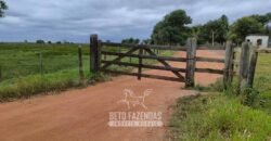 Fazenda à Venda 358 hectares Pecuária em Dores de Macabu | Campos dos Goytacazes/ RJ Fazenda à Venda 358 hectares Pecuária em Dores de Macabu | Campos dos Goytacazes/ RJ