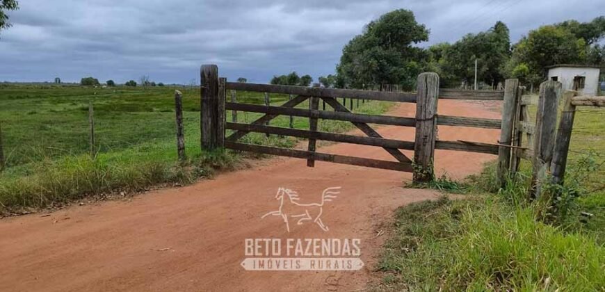 Fazenda à Venda 358 hectares Pecuária em Dores de Macabu | Campos dos Goytacazes/ RJ Fazenda à Venda 358 hectares Pecuária em Dores de Macabu | Campos dos Goytacazes/ RJ