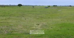 Fazenda à Venda 358 hectares Pecuária em Dores de Macabu | Campos dos Goytacazes/ RJ Fazenda à Venda 358 hectares Pecuária em Dores de Macabu | Campos dos Goytacazes/ RJ