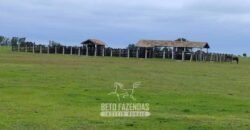 Fazenda à Venda 358 hectares Pecuária em Dores de Macabu | Campos dos Goytacazes/ RJ Fazenda à Venda 358 hectares Pecuária em Dores de Macabu | Campos dos Goytacazes/ RJ