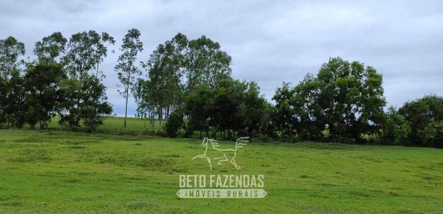 Fazenda à Venda 358 hectares Pecuária em Dores de Macabu | Campos dos Goytacazes/ RJ Fazenda à Venda 358 hectares Pecuária em Dores de Macabu | Campos dos Goytacazes/ RJ