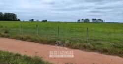 Fazenda à Venda 358 hectares Pecuária em Dores de Macabu | Campos dos Goytacazes/ RJ Fazenda à Venda 358 hectares Pecuária em Dores de Macabu | Campos dos Goytacazes/ RJ