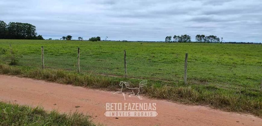 Fazenda à Venda 358 hectares Pecuária em Dores de Macabu | Campos dos Goytacazes/ RJ Fazenda à Venda 358 hectares Pecuária em Dores de Macabu | Campos dos Goytacazes/ RJ