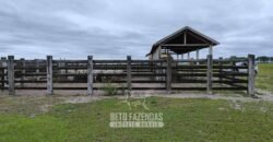 Fazenda à Venda 358 hectares Pecuária em Dores de Macabu | Campos dos Goytacazes/ RJ Fazenda à Venda 358 hectares Pecuária em Dores de Macabu | Campos dos Goytacazes/ RJ