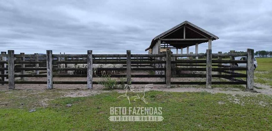 Fazenda à Venda 358 hectares Pecuária em Dores de Macabu | Campos dos Goytacazes/ RJ Fazenda à Venda 358 hectares Pecuária em Dores de Macabu | Campos dos Goytacazes/ RJ