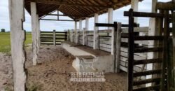 Fazenda à Venda 358 hectares Pecuária em Dores de Macabu | Campos dos Goytacazes/ RJ Fazenda à Venda 358 hectares Pecuária em Dores de Macabu | Campos dos Goytacazes/ RJ