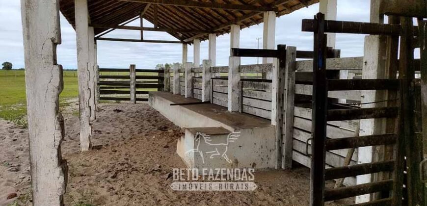 Fazenda à Venda 358 hectares Pecuária em Dores de Macabu | Campos dos Goytacazes/ RJ Fazenda à Venda 358 hectares Pecuária em Dores de Macabu | Campos dos Goytacazes/ RJ