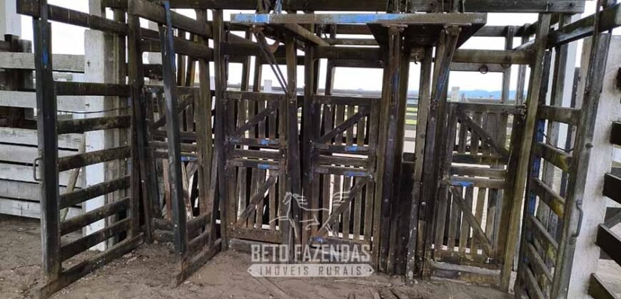 Fazenda à Venda 358 hectares Pecuária em Dores de Macabu | Campos dos Goytacazes/ RJ Fazenda à Venda 358 hectares Pecuária em Dores de Macabu | Campos dos Goytacazes/ RJ