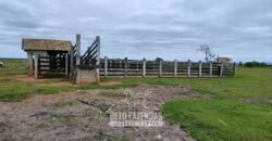 Fazenda à Venda 358 hectares Pecuária em Dores de Macabu | Campos dos Goytacazes/ RJ Fazenda à Venda 358 hectares Pecuária em Dores de Macabu | Campos dos Goytacazes/ RJ