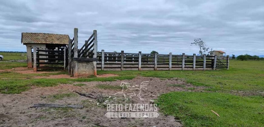 Fazenda à Venda 358 hectares Pecuária em Dores de Macabu | Campos dos Goytacazes/ RJ Fazenda à Venda 358 hectares Pecuária em Dores de Macabu | Campos dos Goytacazes/ RJ