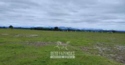 Fazenda à Venda 358 hectares Pecuária em Dores de Macabu | Campos dos Goytacazes/ RJ Fazenda à Venda 358 hectares Pecuária em Dores de Macabu | Campos dos Goytacazes/ RJ