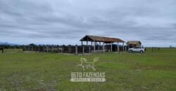 Fazenda à Venda 358 hectares Pecuária em Dores de Macabu | Campos dos Goytacazes/ RJ Fazenda à Venda 358 hectares Pecuária em Dores de Macabu | Campos dos Goytacazes/ RJ