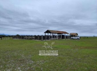 Fazenda à Venda 358 hectares Pecuária em Dores de Macabu | Campos dos Goytacazes/ RJ