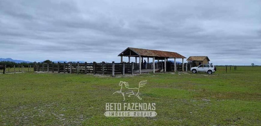 Fazenda à Venda 358 hectares Pecuária em Dores de Macabu | Campos dos Goytacazes/ RJ Fazenda à Venda 358 hectares Pecuária em Dores de Macabu | Campos dos Goytacazes/ RJ