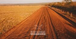 Fazenda à Venda 103.000 hectares Dupla Aptidão Pista de Pouso Região Sudeste do Estado | MT Fazenda à Venda 103.000 hectares Dupla Aptidão Pista de Pouso Região Sudeste do Estado | MT