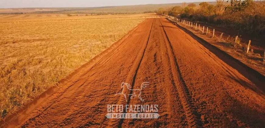 Fazenda à Venda 103.000 hectares Dupla Aptidão Pista de Pouso Região Sudeste do Estado | MT Fazenda à Venda 103.000 hectares Dupla Aptidão Pista de Pouso Região Sudeste do Estado | MT