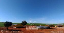 Fazenda à Venda 103.000 hectares Dupla Aptidão Pista de Pouso Região Sudeste do Estado | MT Fazenda à Venda 103.000 hectares Dupla Aptidão Pista de Pouso Região Sudeste do Estado | MT