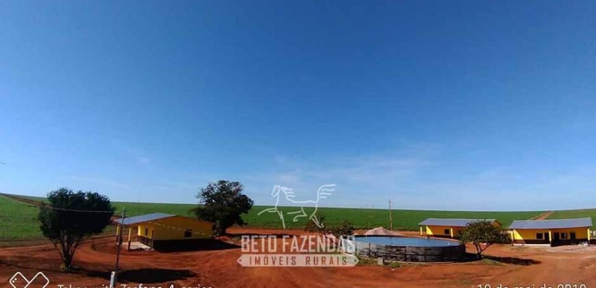 Fazenda à Venda 103.000 hectares Dupla Aptidão Pista de Pouso Região Sudeste do Estado | MT Fazenda à Venda 103.000 hectares Dupla Aptidão Pista de Pouso Região Sudeste do Estado | MT