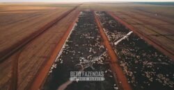 Fazenda à Venda 103.000 hectares Dupla Aptidão Pista de Pouso Região Sudeste do Estado | MT Fazenda à Venda 103.000 hectares Dupla Aptidão Pista de Pouso Região Sudeste do Estado | MT