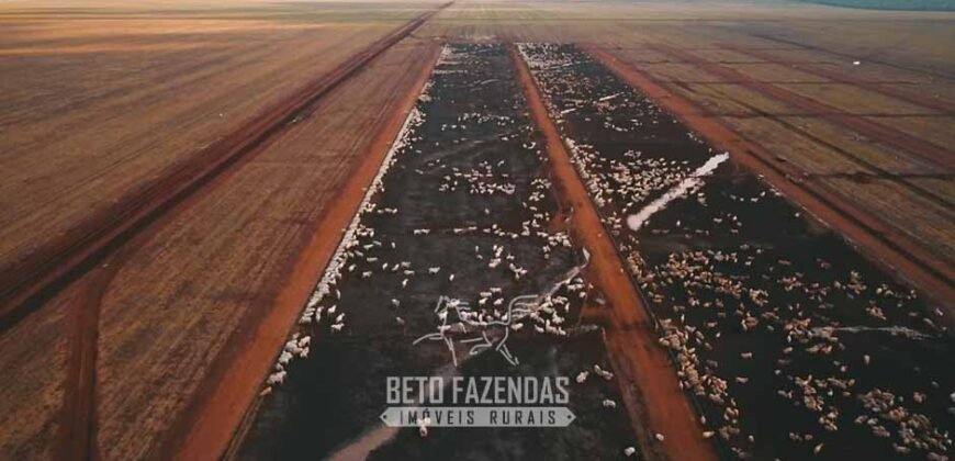 Fazenda à Venda 103.000 hectares Dupla Aptidão Pista de Pouso Região Sudeste do Estado | MT Fazenda à Venda 103.000 hectares Dupla Aptidão Pista de Pouso Região Sudeste do Estado | MT
