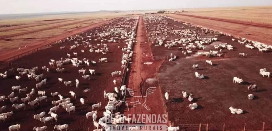 Fazenda à Venda 103.000 hectares Dupla Aptidão Pista de Pouso Região Sudeste do Estado | MT Fazenda à Venda 103.000 hectares Dupla Aptidão Pista de Pouso Região Sudeste do Estado | MT