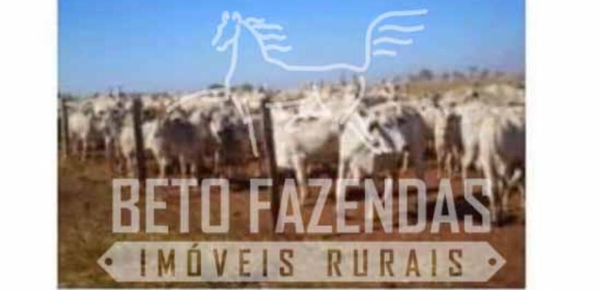 Fazenda à Venda 103.000 hectares Dupla Aptidão Pista de Pouso Região Sudeste do Estado | MT Fazenda à Venda 103.000 hectares Dupla Aptidão Pista de Pouso Região Sudeste do Estado | MT