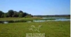 Fazenda à Venda 103.000 hectares Dupla Aptidão Pista de Pouso Região Sudeste do Estado | MT Fazenda à Venda 103.000 hectares Dupla Aptidão Pista de Pouso Região Sudeste do Estado | MT