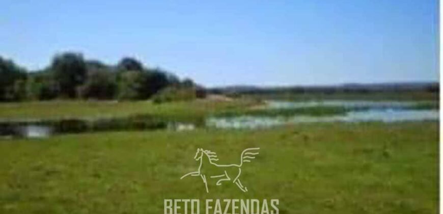 Fazenda à Venda 103.000 hectares Dupla Aptidão Pista de Pouso Região Sudeste do Estado | MT Fazenda à Venda 103.000 hectares Dupla Aptidão Pista de Pouso Região Sudeste do Estado | MT