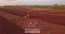 Fazenda à Venda 103.000 hectares Dupla Aptidão Pista de Pouso Região Sudeste do Estado | MT Fazenda à Venda 103.000 hectares Dupla Aptidão Pista de Pouso Região Sudeste do Estado | MT