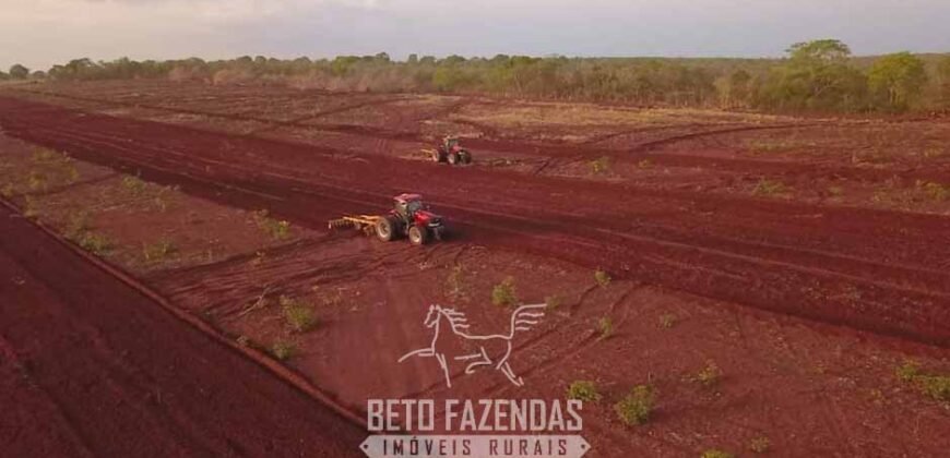 Fazenda à Venda 103.000 hectares Dupla Aptidão Pista de Pouso Região Sudeste do Estado | MT Fazenda à Venda 103.000 hectares Dupla Aptidão Pista de Pouso Região Sudeste do Estado | MT