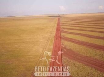 Fazenda à Venda 103.000 hectares Dupla Aptidão Pista de Pouso Região Sudeste do Estado | MT Fazenda à Venda 103.000 hectares Dupla Aptidão Pista de Pouso Região Sudeste do Estado | MT